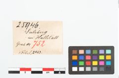 Etikett zu Bronzebrillenfibel (NHMW-PRAE-025946)